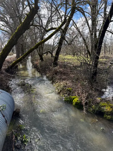 Pool Creek — Upstream · 2/19/26