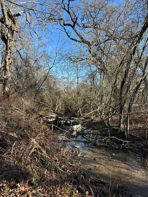 Rumsey Slough, South shore, historic Thompson Creek channel