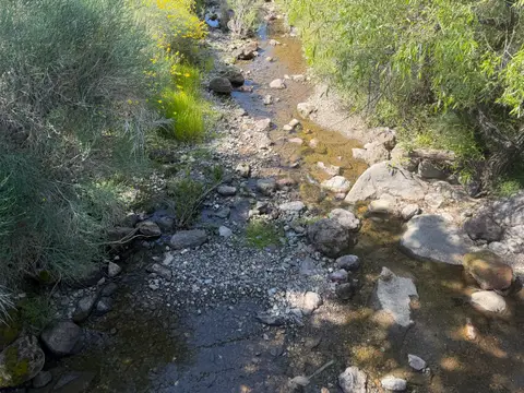 Schindler Creek, East end, rearing habitat in the Keys