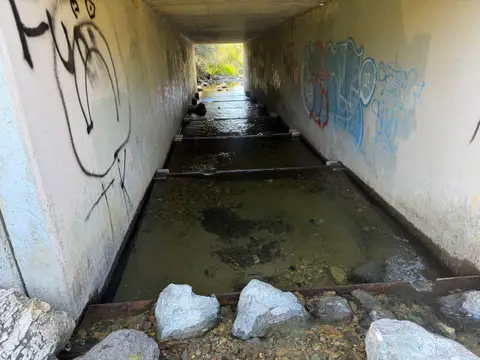 CDFW Fish Ladder in Schindler Creek Under… — 4/25/26