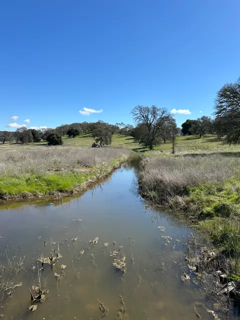 Upstream Reach Schindler Creek — Upstream reach · 3/26/24