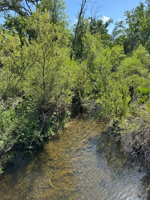 Seigler Canyon Creek, East shore, Cache Creek drainage