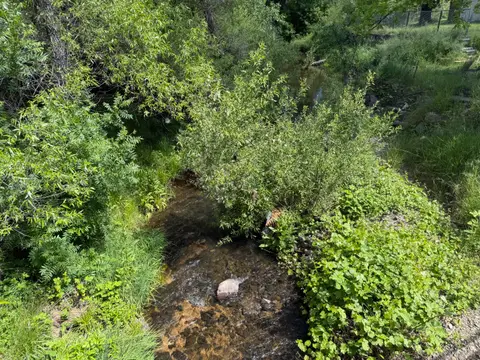 Downstream Reach Seigler Canyon Creek at Jessie… — Downstream reach · 4/24/26