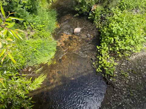 Downstream Reach Seigler Canyon Creek at Jessie… — Downstream reach · 4/24/26