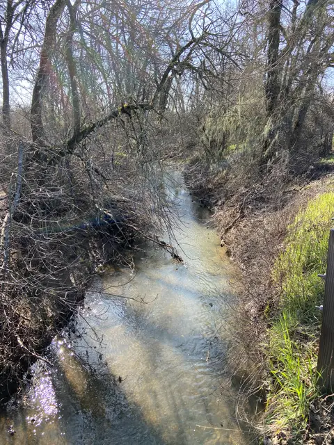 Thompson Creek, SW shore, Manning Creek feeder