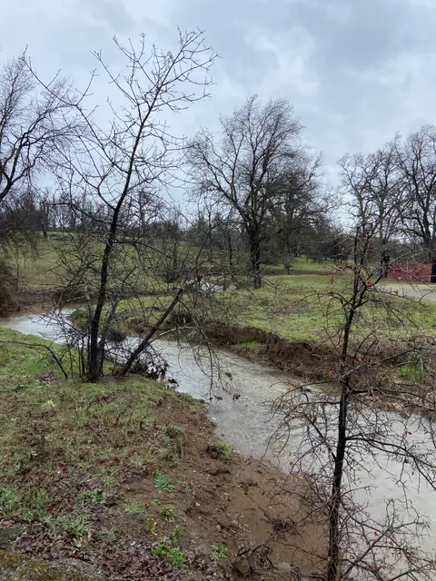 Upstream Reach Thompson Creek — Upstream reach · 3/21/23