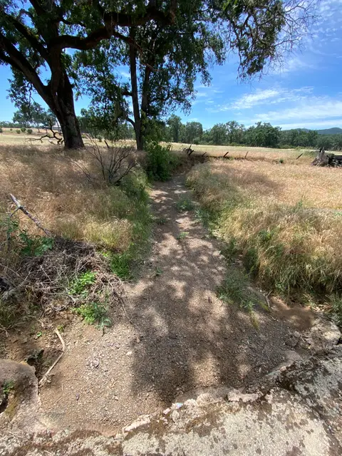 Dry Creek Bed Upstream Reach Thompson Creek — Upstream reach · 6/7/23
