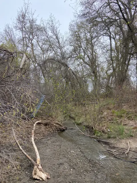 Historic Thompson Creek That Feeds into Rumsey… — 4/17/23