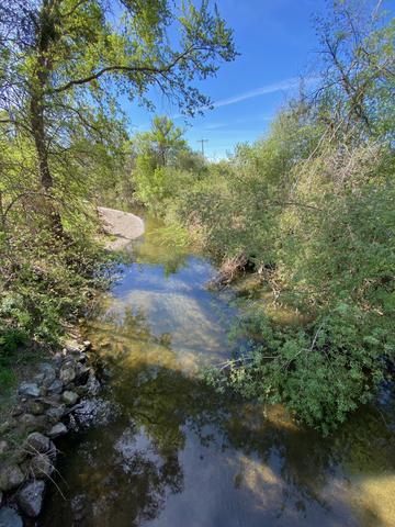 Adobe Creek lower reach with willow-lined banks and gravel bar visible in spring flow
