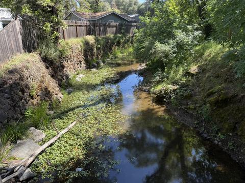 Burns Valley Creek lower reach, urban corridor with rock banks