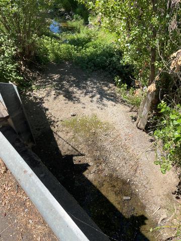 Burns Valley Creek dry season, isolated pools at road crossing