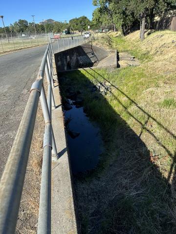Forbes Creek near-dry at road crossing culvert, late season