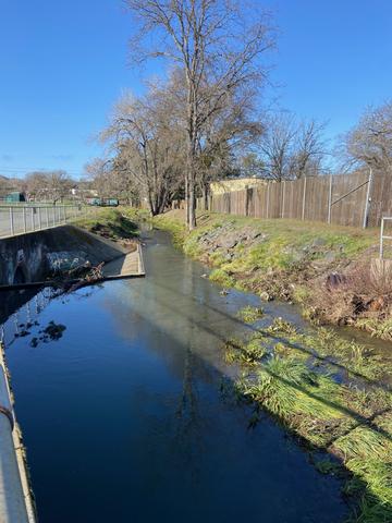 Channelized Forbes Creek at County monitoring site, Lakeport