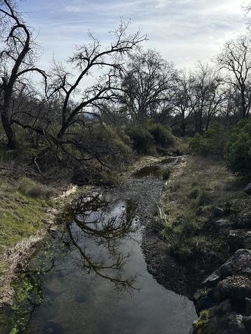 Forbes Creek upstream natural rocky reach with bare winter trees